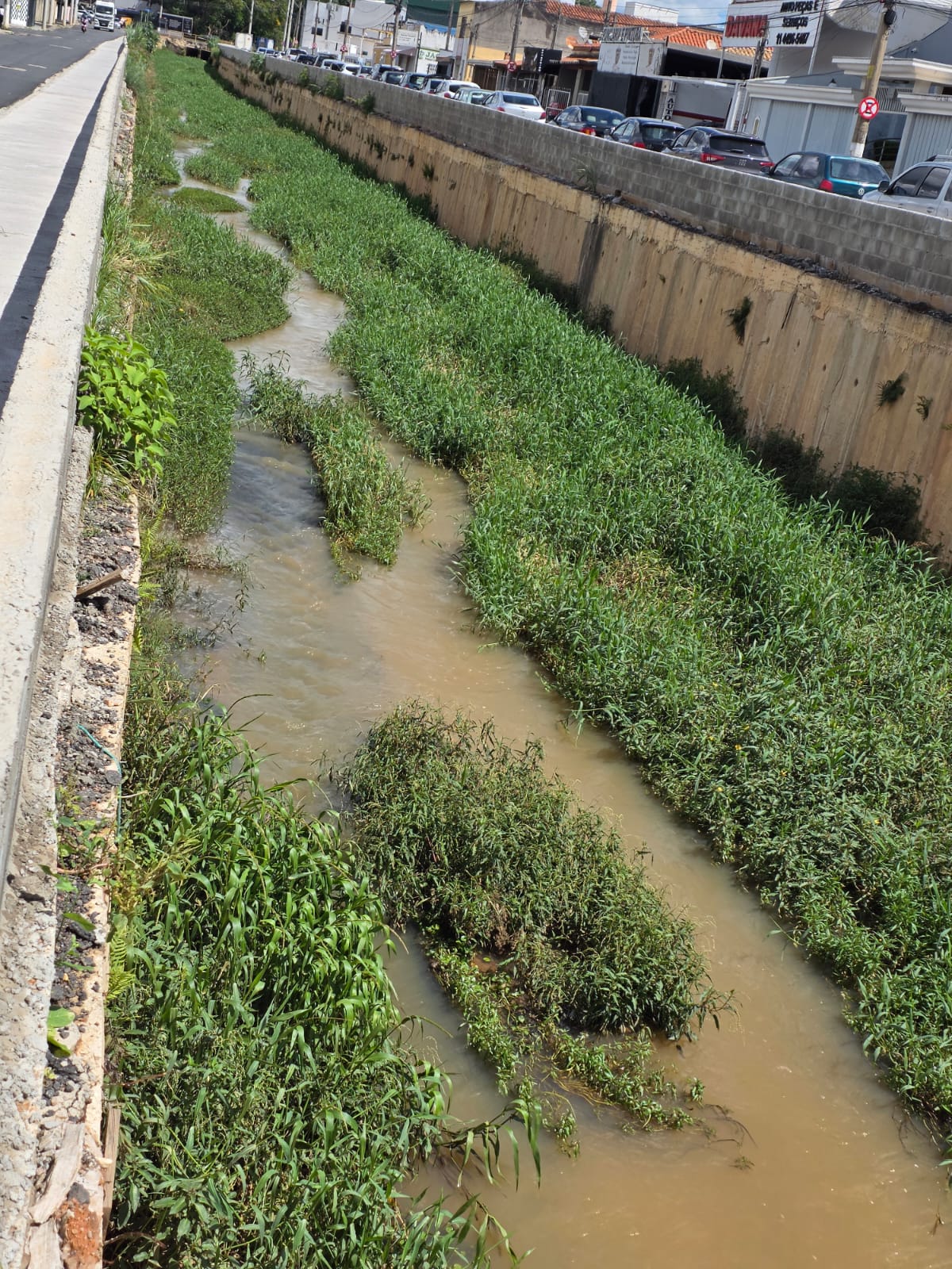 Moradores fazem abaixo-assinado cobrando ação da Prefeitura no córrego da Lagoa